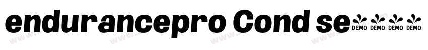endurancepro Cond se字体转换